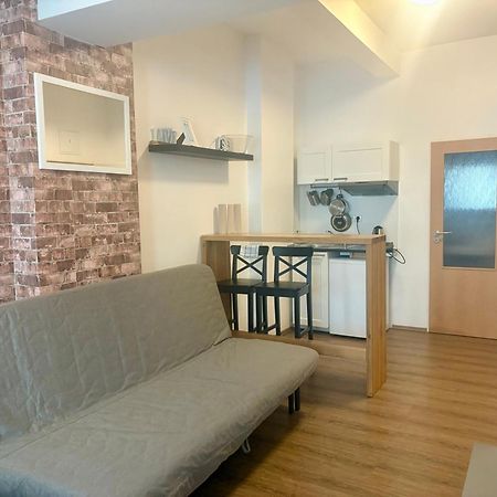 Zizkov Cosy Studio Apartments Prague Luaran gambar